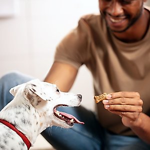 Milk-Bone Mini's Flavor Snacks Beef, Chicken & Bacon Flavored Biscuit Dog Treats, 36-oz tub