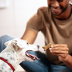 Milk-Bone Flavor Snacks Biscuit Small Dog Treats, 7-lb box