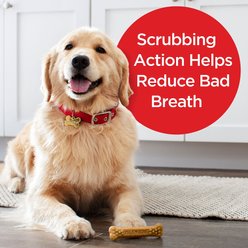 Milk-Bone Original Brushing Chews Large Chicken Flavor Daily Dental Dog Treats, 25 count slide 2 of 8
