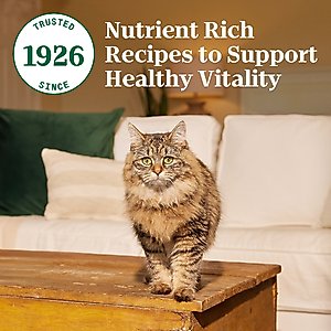 Nutro Wholesome Essentials Salmon & Brown Rice Recipe Dry Cat Food, 14-lb bag