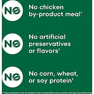 Nutro Wholesome Essentials Salmon & Brown Rice Recipe Dry Cat Food, 14-lb bag