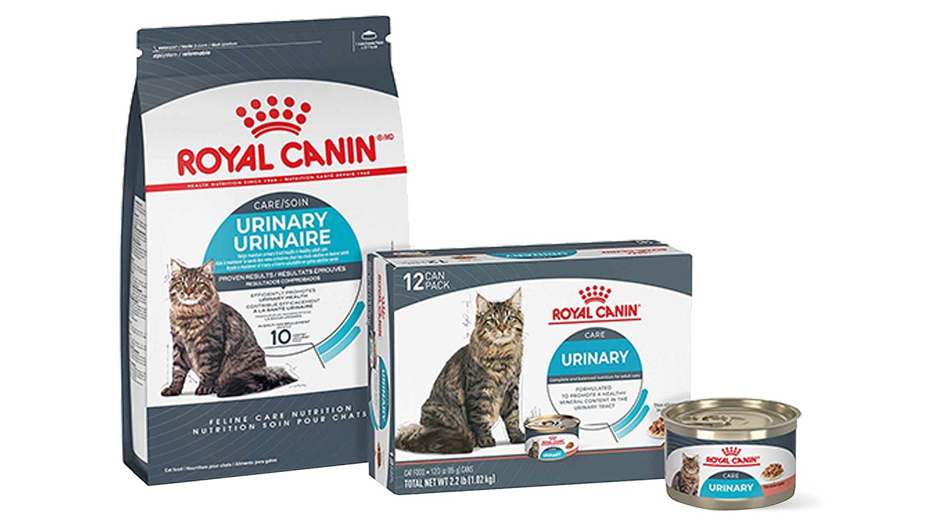 Royal Canin Urinary S O Katze Trockenfutter www.chewy.com