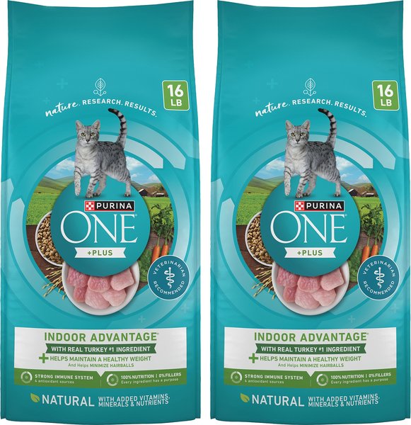 Purina one dry shops cat