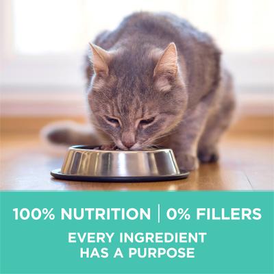 Show full view: Purina ONE +Plus Sensitive Skin & Stomach Adult Natural Digestive Dry Cat Food, 16-lb bag slide 9 of 13
