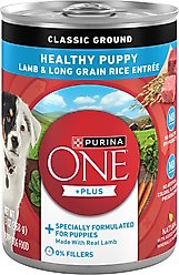 Purina ONE +Plus Classic Ground Healthy Puppy Lamb & Long Grain Rice Entree Canned Dog Food, 13-oz, case of 12