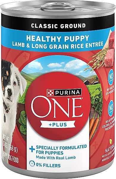 Puppy Feeding Purina One Healthy Puppy Formula Puppy Chow Food