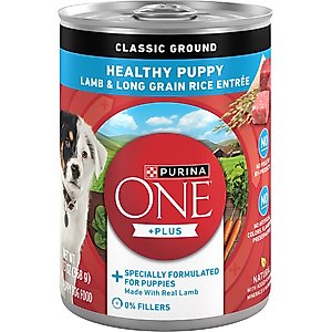 Purina ONE +Plus Classic Ground Healthy Puppy Lamb & Long Grain Rice Entree Canned Dog Food, 13-oz, case of 12