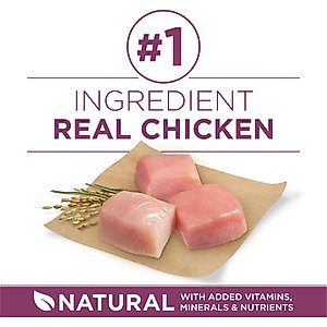 Purina ONE +Plus Natural High Protein Healthy Puppy Chicken Formula Dry Puppy Food, 16.5-lb bag