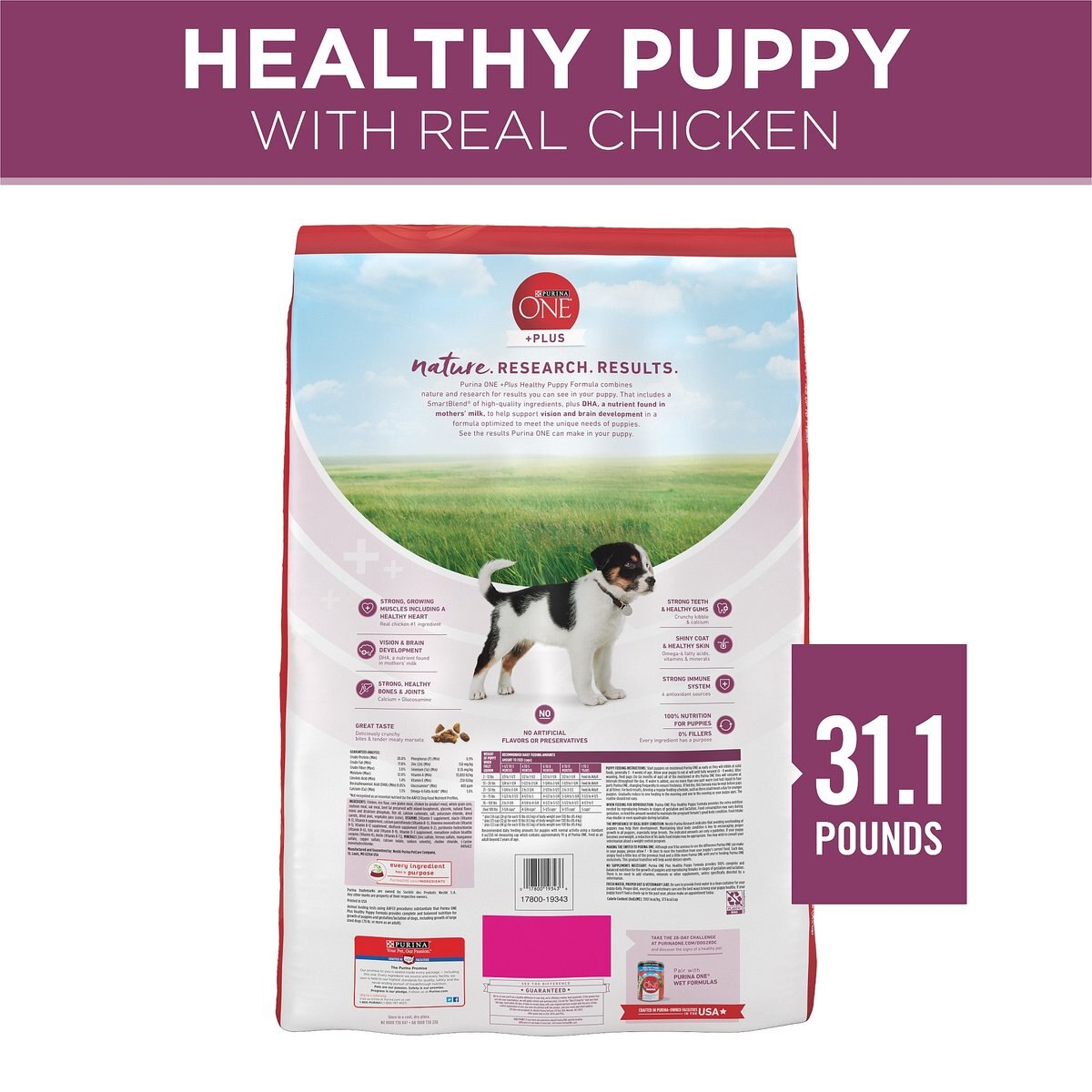 Puppy Formula Purina Healthy Dog Food PURINA ONE +Plus High