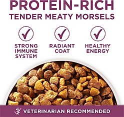 Purina ONE +Plus Natural High Protein Healthy Puppy Chicken Formula Dry Puppy Food, 31.1-lb bag slide 2 of 8