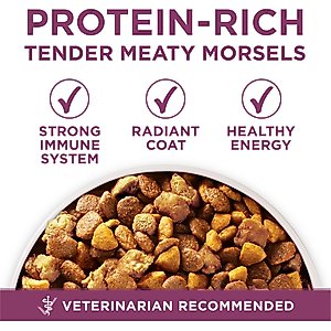 Purina ONE +Plus Natural High Protein Healthy Puppy Chicken Formula Dry Puppy Food, 16.5-lb bag
