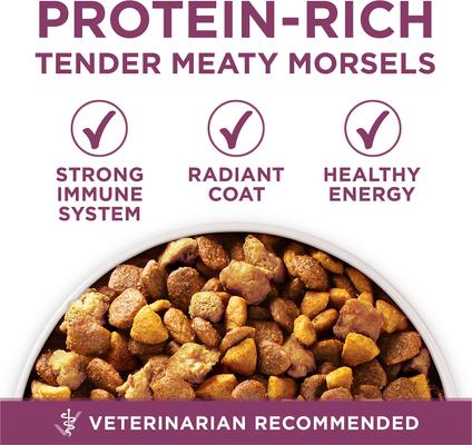 Purina ONE +Plus Natural High Protein Healthy Puppy Formula Dry Puppy Food