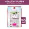 Show in main carousel: Purina ONE +Plus Natural High Protein Healthy Puppy Chicken Formula Dry Puppy Food, 16.5-lb bag slide 3 of 11