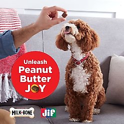 Milk-Bone Peanut Buttery Bites Jif Peanut Butter Soft & Chewy Dog Treats, 11.8-oz bag slide 2 of 8