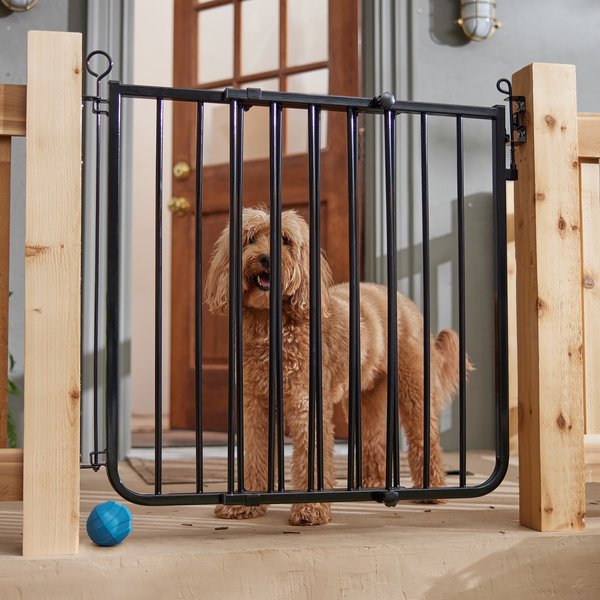 Chewy fashion gates