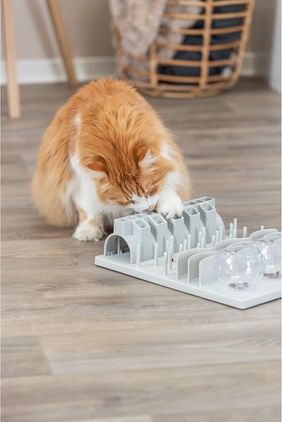 TRIXIE Fun Board X-Large Strategy Game, Interactive Play, Mental Stimulation Treat Large Cat Puzzle Toy, Gray