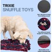 TRIXIE Rod Board Dog Puzzle Toy - Beginner Level 1 Interactive Treat Game