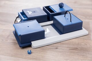 Poker Box 1 Gioco Di Strategia Per I Cani, Gioco Cane