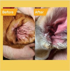 Silver Honey Rapid Vet Strength Ear Cleaner + Rapid Ear Care Vet Strength Dog & Cat Wipes, 50 count slide 2 of 9