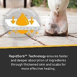 Silver Honey Vet Strength Scratches Horse Wound Care Spray, 6-fl oz bottle slide 2 of 9