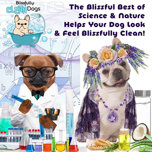 THE BLISSFUL DOG Bye Bye Boo Boo Dog Spray, 8fl oz bottle