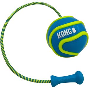 KONG Bunji High-Viz Ball Dog Toy, Assorted, Large