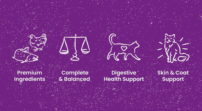 Stella & Chewy's Poultry Flavored Raw Blend Cage Free Recipe Dry Cat Food