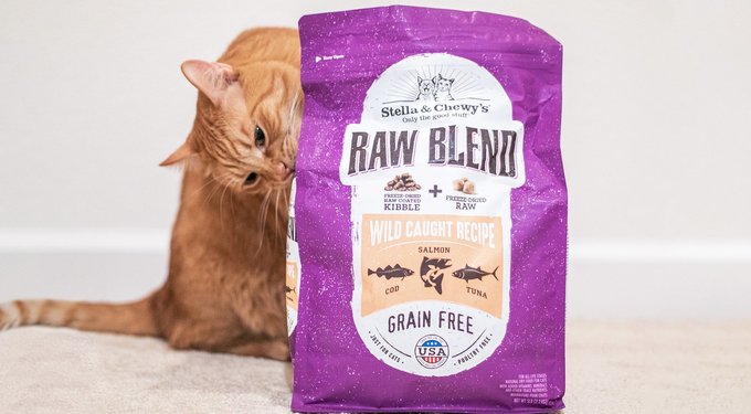 Stella & Chewy's Poultry Flavored Raw Blend Cage Free Recipe Dry Cat Food