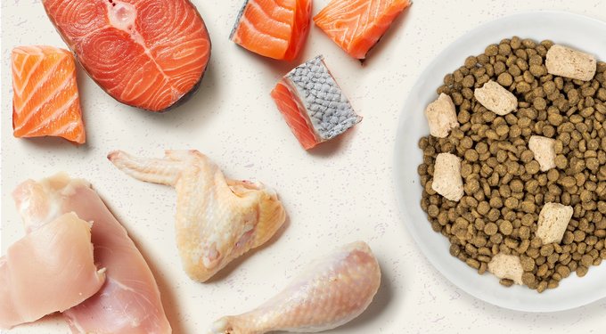 Stella & Chewy's Poultry Flavored Raw Blend Cage Free Recipe Dry Cat Food