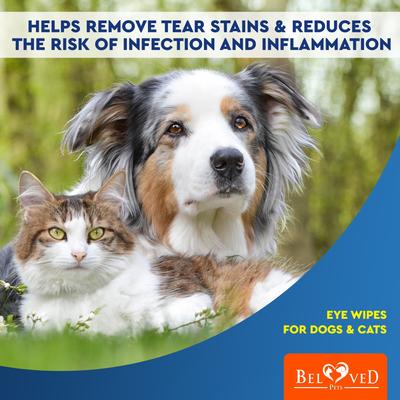 Show full view: Beloved Pets Tear Stain Dog & Cat Eye Wipes, 10-oz jar slide 6 of 7