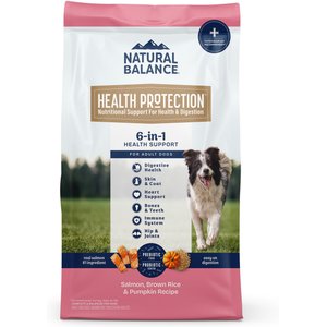 Natural Balance Health Protection Adult Real Salmon, Brown Rice & Pumpkin Dry Dog Food, 22-lb bag