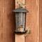 Show in main carousel: Perky-Pet Wall & Post Mount Wild Bird Feeder, 1.1-lb slide 2 of 8