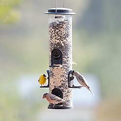 Perky-Pet Black 2-in-1 X-Large Tube Feeder slide 2 of 7