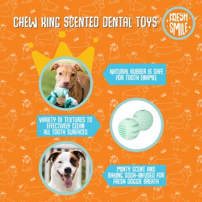Show full view: Chew King by Mammoth Collection Ring Tough Dental Dog Chew Toy, Green slide 7 of 7