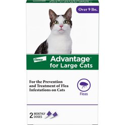 ADVANTAGE FLEA TICK TREATMENT MEDICINE FOR CATS Free Shipping Chewy