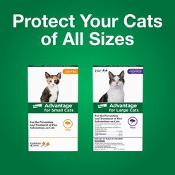 Advantage Topical Flea Prevention for Small Cats, 2-9 lbs, 4-Monthly Treatments bundle slide 2 of 8