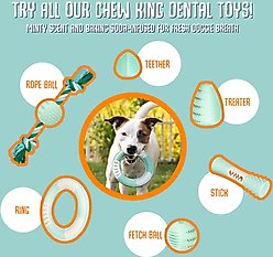 Chew King by Mammoth Collection Treater Tough Dental Dog Chew Toy, Green slide 2 of 6