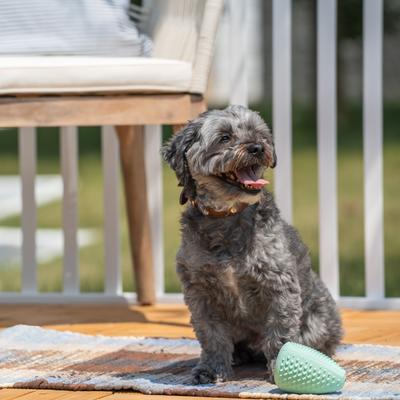 Show full view: Chew King by Mammoth Collection Treater Tough Dental Dog Chew Toy, Green slide 5 of 7