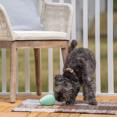 Show full view: Chew King by Mammoth Collection Treater Tough Dental Dog Chew Toy, Green slide 4 of 7