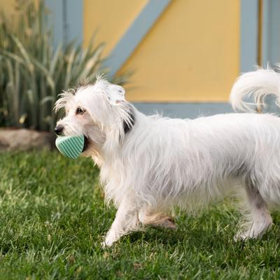 Show full view: Chew King by Mammoth Collection Teether Ball Tough Dental Dog Chew Toy, Green slide 3 of 7