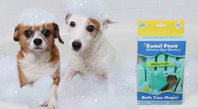 Sweet Paws Wearable Puppy Teether Stack Party of 4