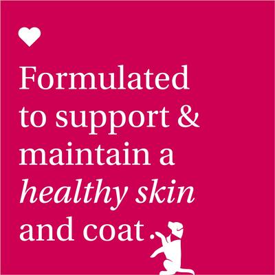 Show full view: PetLab Co. Itch Relief Pork Flavor Dog Supplement, 30 count, 30 count, bundle of 3 slide 10 of 12