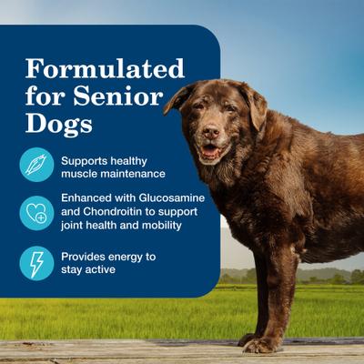 Show full view: Blue Buffalo Life Protection Formula Senior Chicken & Brown Rice Recipe Dry Dog Food, 30-lb bag + Homestyle Recipe Chicken Dinner with Garden Vegetables Senior Wet Dog Food, 12.5-oz, case of 12 + Nudges Grillers Chicken Dog Treats, 16-oz bag slide 6 of 9