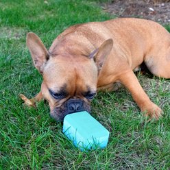 Chew King by Mammoth Chill Fill Tough Rubber Dog Treater Toy, Blue, Large slide 2 of 7