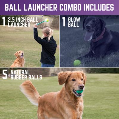 Show full view: Chew King by Mammoth Ball Launcher Dog Chew Toy, Blue, 3-in dia slide 5 of 6