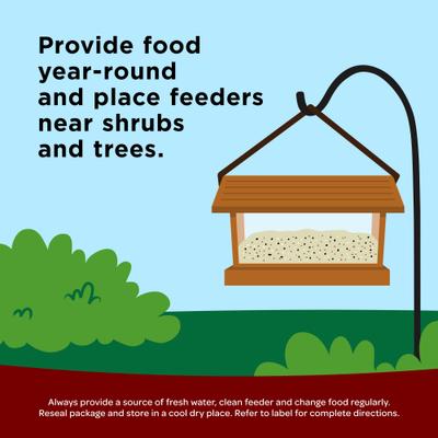 Show full view: Kaytee Songbird Blend, food for wild birds, 14-lb bag slide 5 of 11