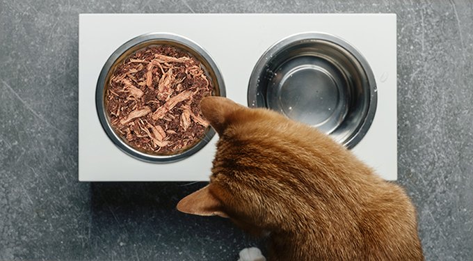 Tiki Cat Luau Variety Pack Grain-Free Canned Cat Food