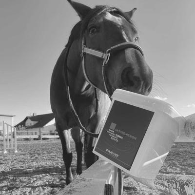 Show full view: equinova Gastro-Renon Horse Supplement, 6.6-lb bucket slide 2 of 4