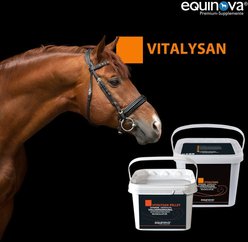 equinova Vitalysan Powder Horse Supplement, 6.6-lb bucket slide 2 of 5