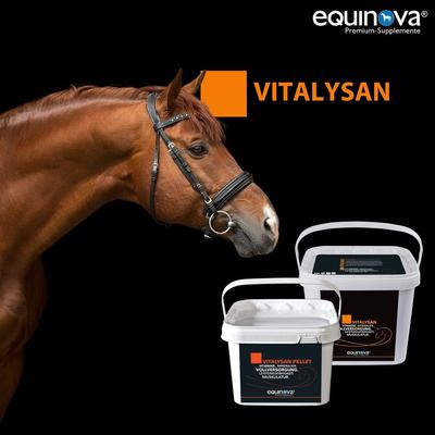 Show full view: equinova Vitalysan Pellet Horse Supplement, 6.6-lb bucket slide 3 of 5